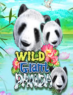 ด หน ง ออนไลน sbobet: สล็อตที่ควรรู้จัก